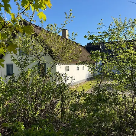 13-room 500 M To The *